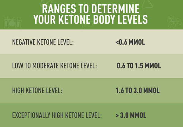 Schnelltest-Blutketon-Messgerät für Keto-Diät mit Keton monitor und  Streifen 30 Stück mit Lanzetten-Ketose und ketogener Diät