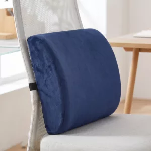 lumbar support pillow, lumbar support cushion, lower back pillow, back support pillow